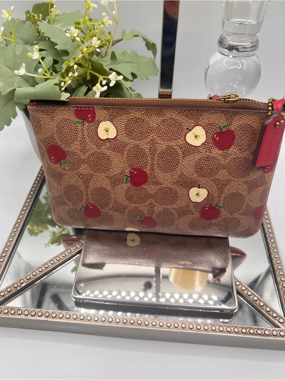 Coach Signature Apple Print Brown Pouch